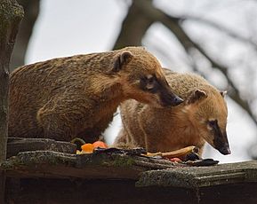 Tierpark Bad Kösen