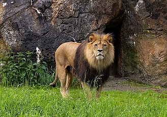 DER GRÜNE ZOO WUPPERTAL lädt zum Besuch ein.