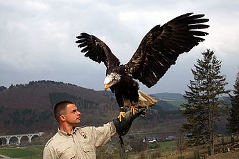 Wild- und Freizeitpark Willingen im hessischen Naturpark Diemelsee