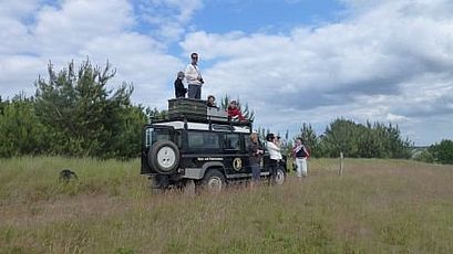 Insel-Safari - Entdeckungen und Abenteuer auf der Insel Usedom