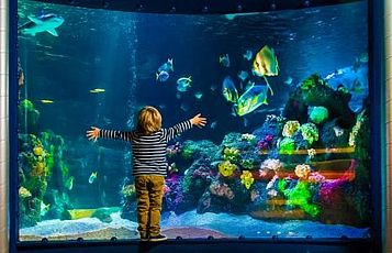 SEA LIFE Oberhausen - das größte Sea Life Deutschlands